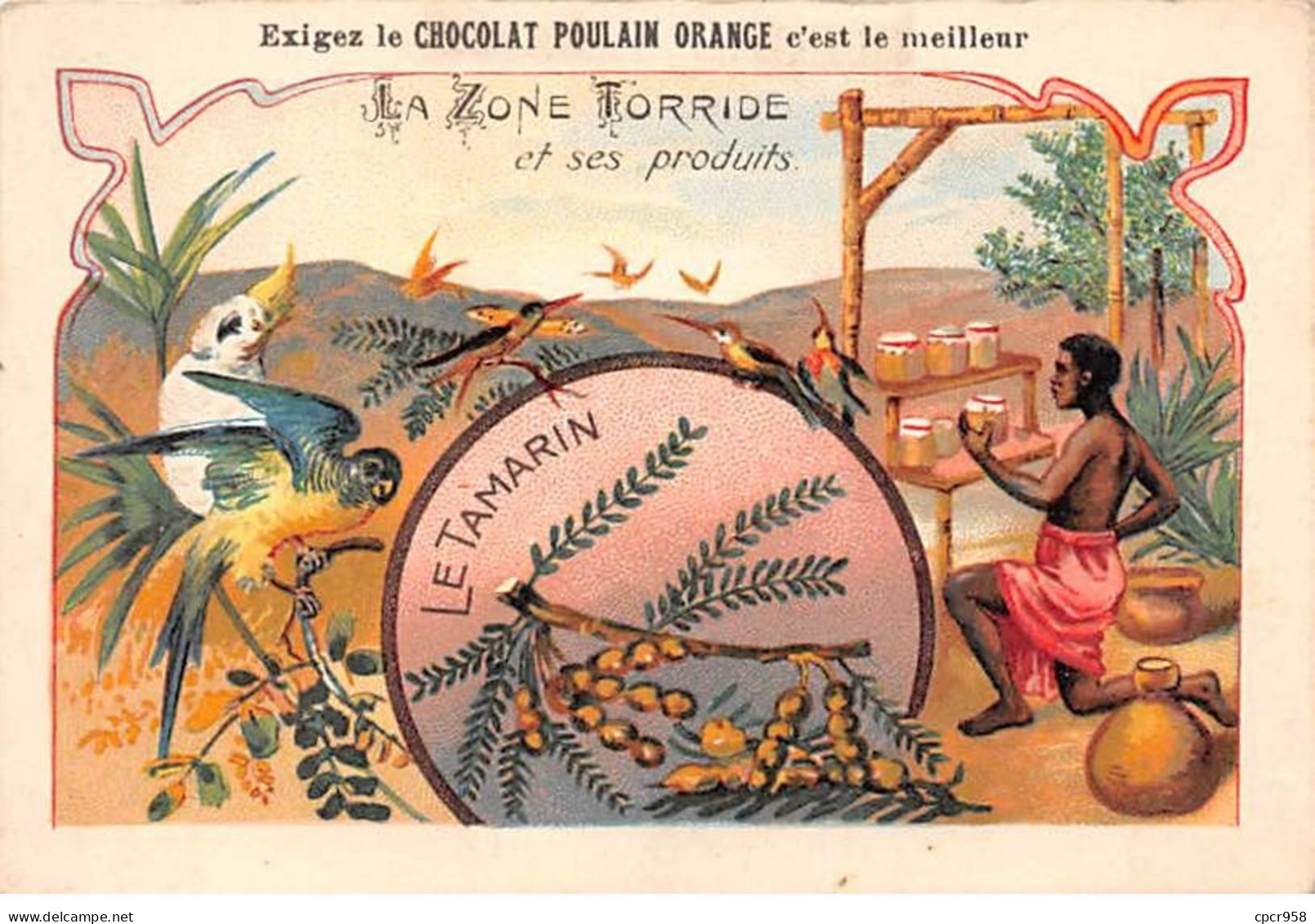 Chromos -COR12021 - Chocolat Poulain Orange - La Zone Torride Et Ses Produits - Tamarin - Homme  - 7x10cm Env. - Poulain