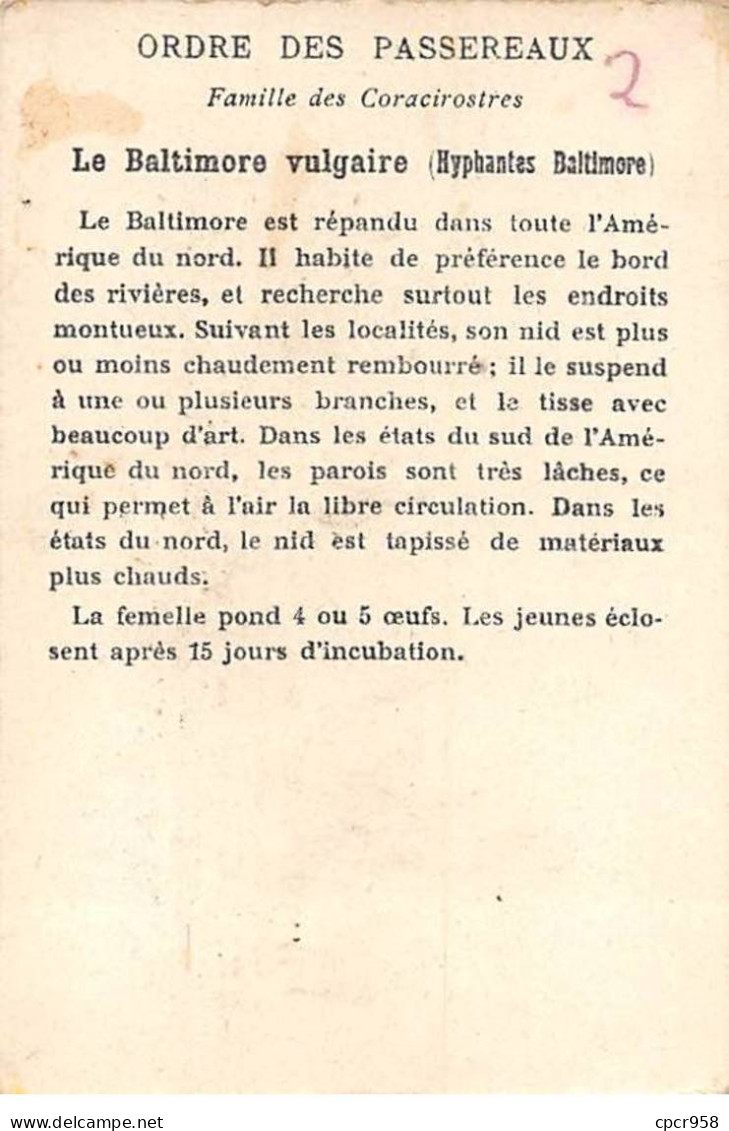 Chromos -COR11771 - Åufs Et Nids - Le Baltimore -  7x10cm Env. - Sonstige & Ohne Zuordnung