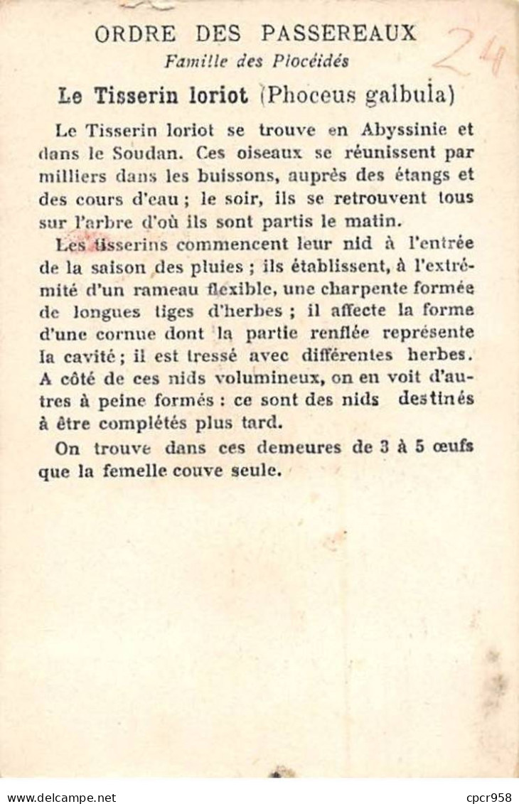 Chromos -COR11767 - Åufs Et Nids - Le Tisserin Loriot -  7x10cm Env. - Sonstige & Ohne Zuordnung