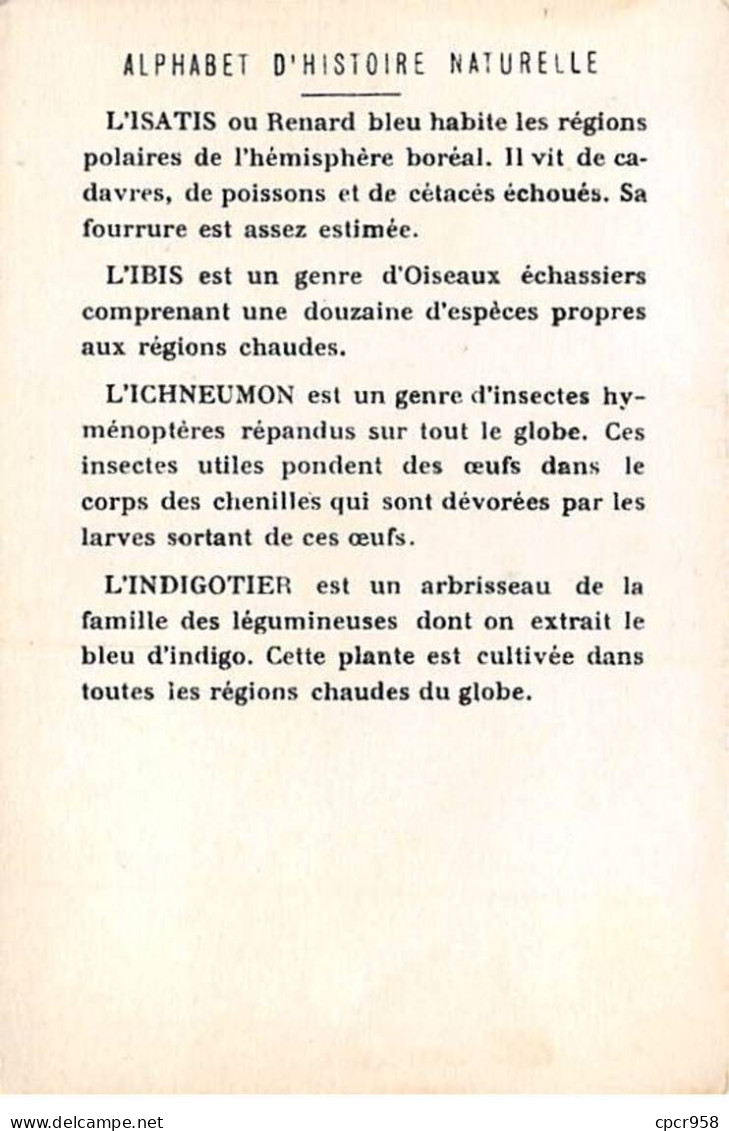 Chromos -COR11764 - Alphabet D'histoire Naturelle - Isatis - Ichneumon- Ibis - Indigotier  -  7x10cm Env. - Sonstige & Ohne Zuordnung