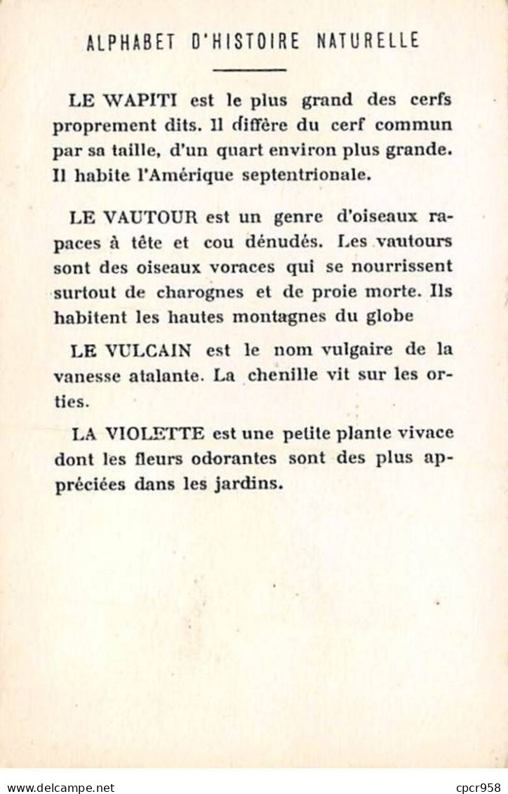 Chromos -COR11758 - Alphabet D'histoire Naturelle - Wapiti - Vautour Papa - Vulcain - Violettes  -  7x10cm Env. - Sonstige & Ohne Zuordnung