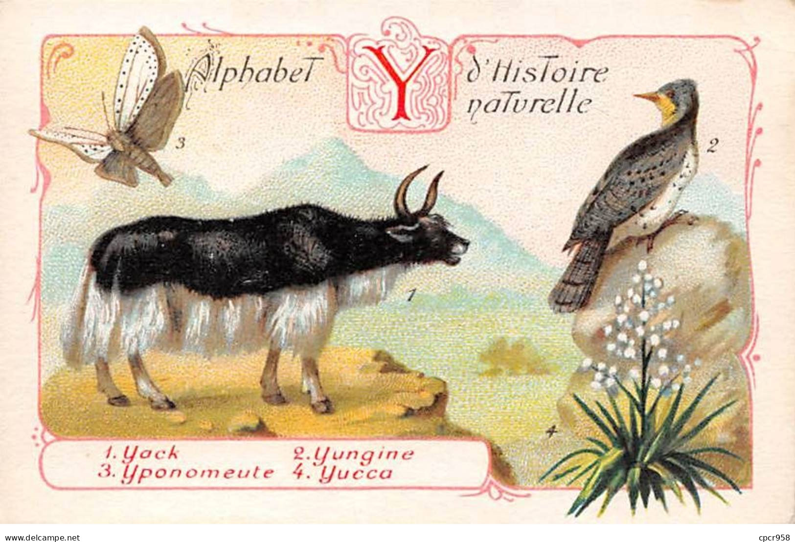 Chromos -COR11760 - Alphabet D'histoire Naturelle - Yack - Yungine - Yponomeute - Yucca   -  7x10cm Env. - Sonstige & Ohne Zuordnung