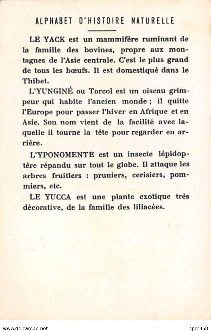 Chromos -COR11760 - Alphabet D'histoire Naturelle - Yack - Yungine - Yponomeute - Yucca   -  7x10cm Env. - Sonstige & Ohne Zuordnung