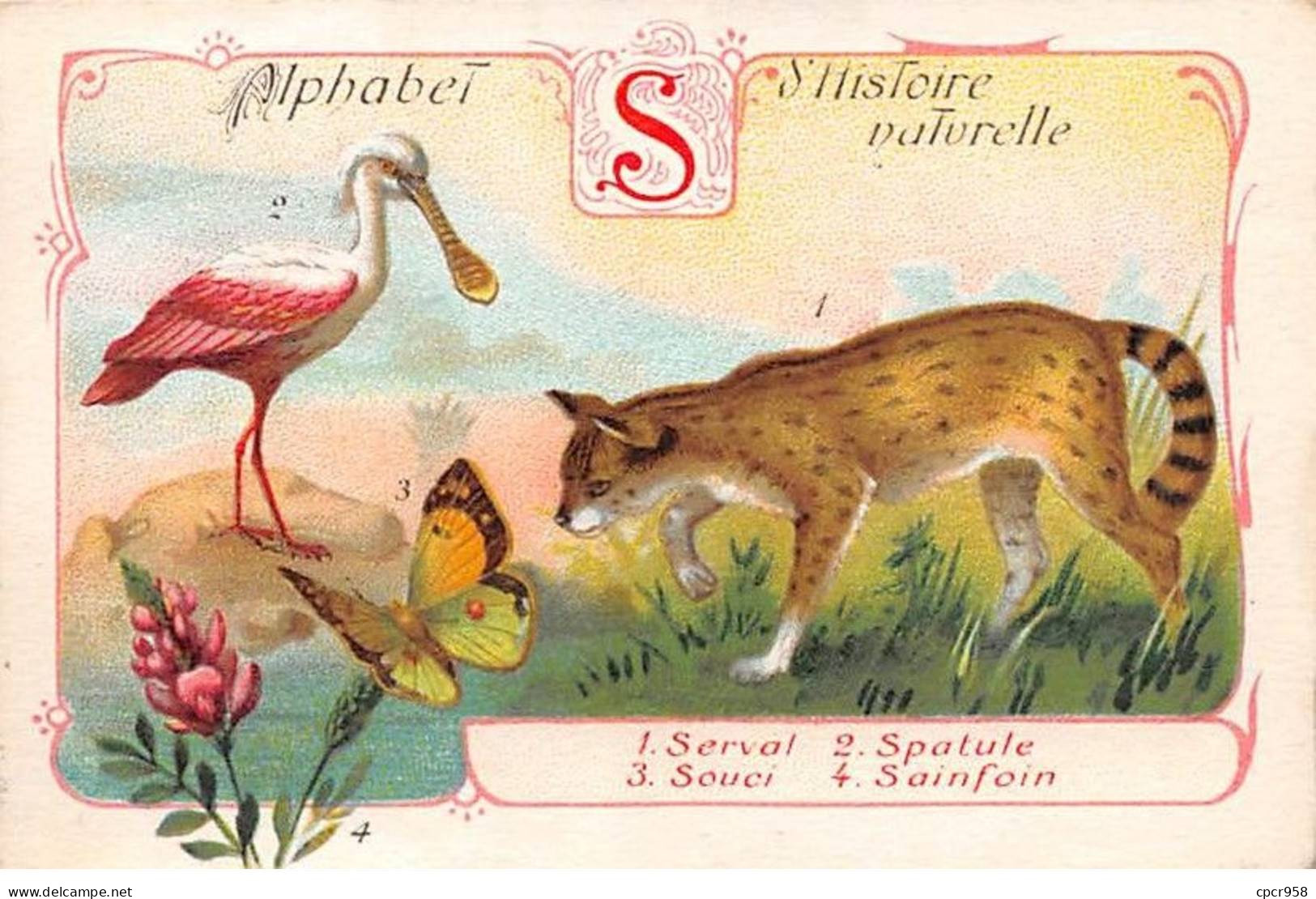 Chromos -COR11756 - Alphabet D'histoire Naturelle - Serval - Spatule- Souci - Sainfoin -  7x10cm Env. - Sonstige & Ohne Zuordnung