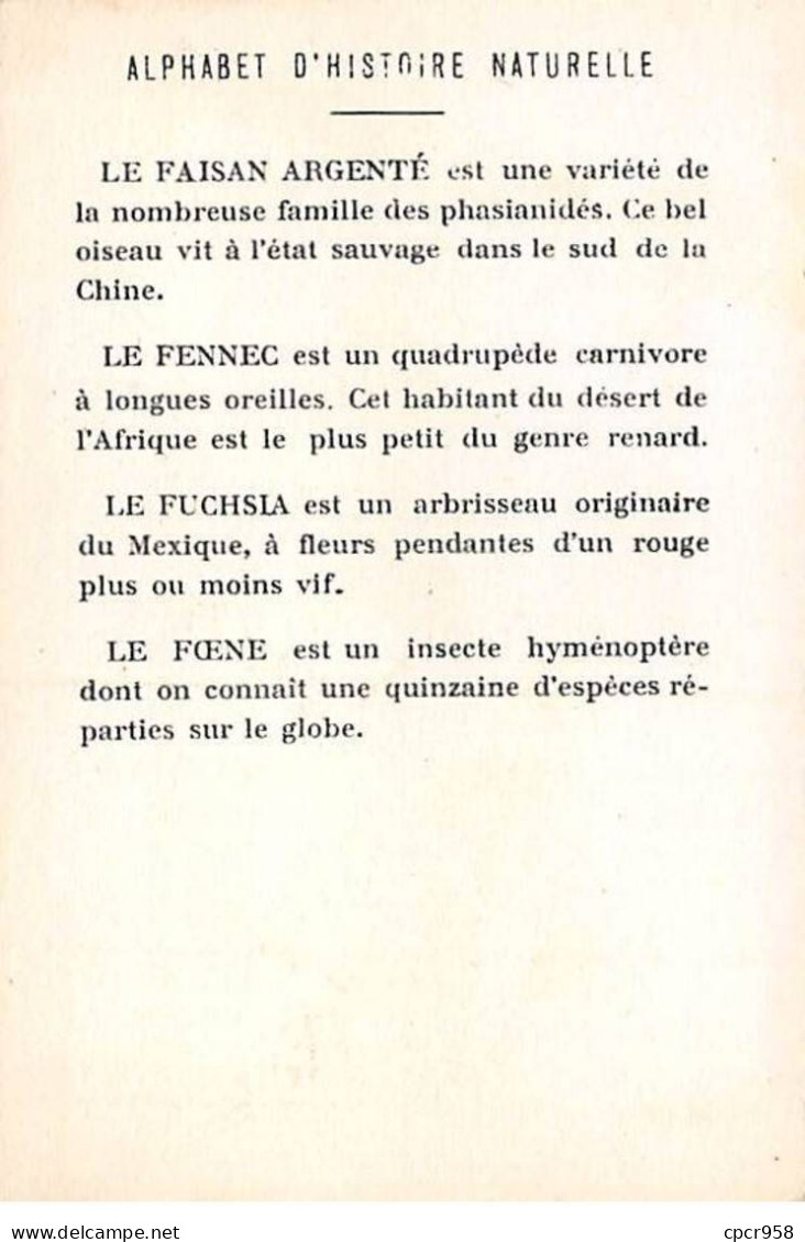 Chromos -COR11753 - Alphabet D'histoire Naturelle - Faisan Argenté - Fennec - Fuchsia - Foene -  7x10cm Env. - Sonstige & Ohne Zuordnung