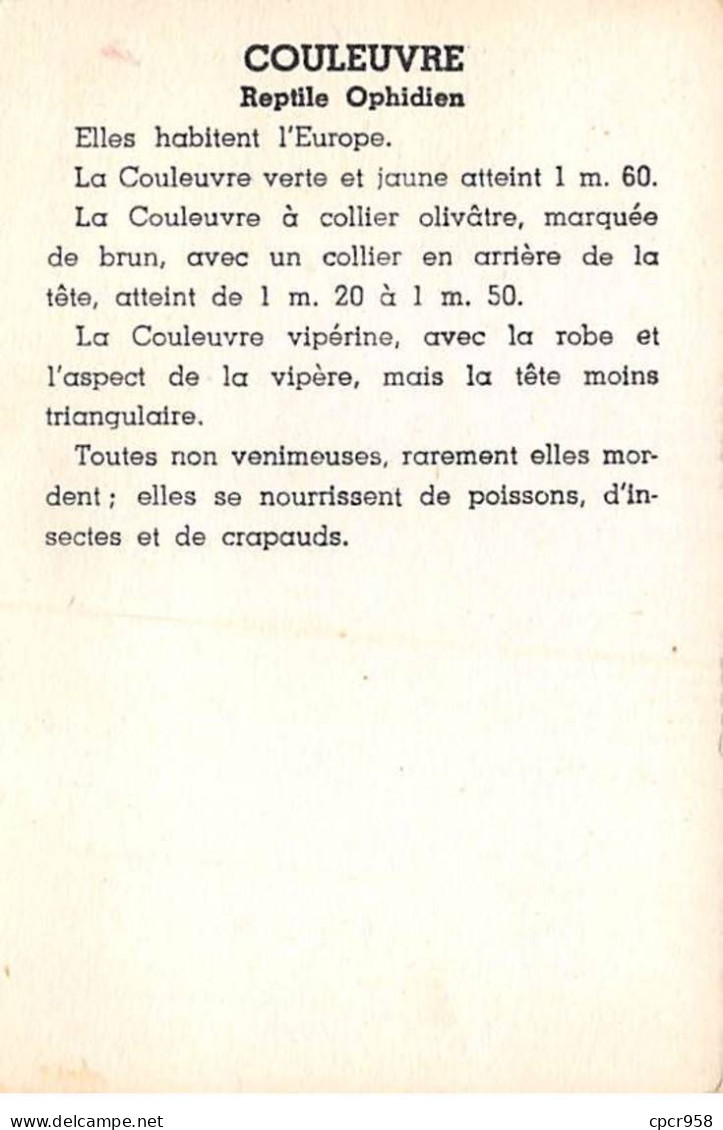 Chromos -COR11744 - La Couleuvre -  7x10cm Env. - Autres & Non Classés