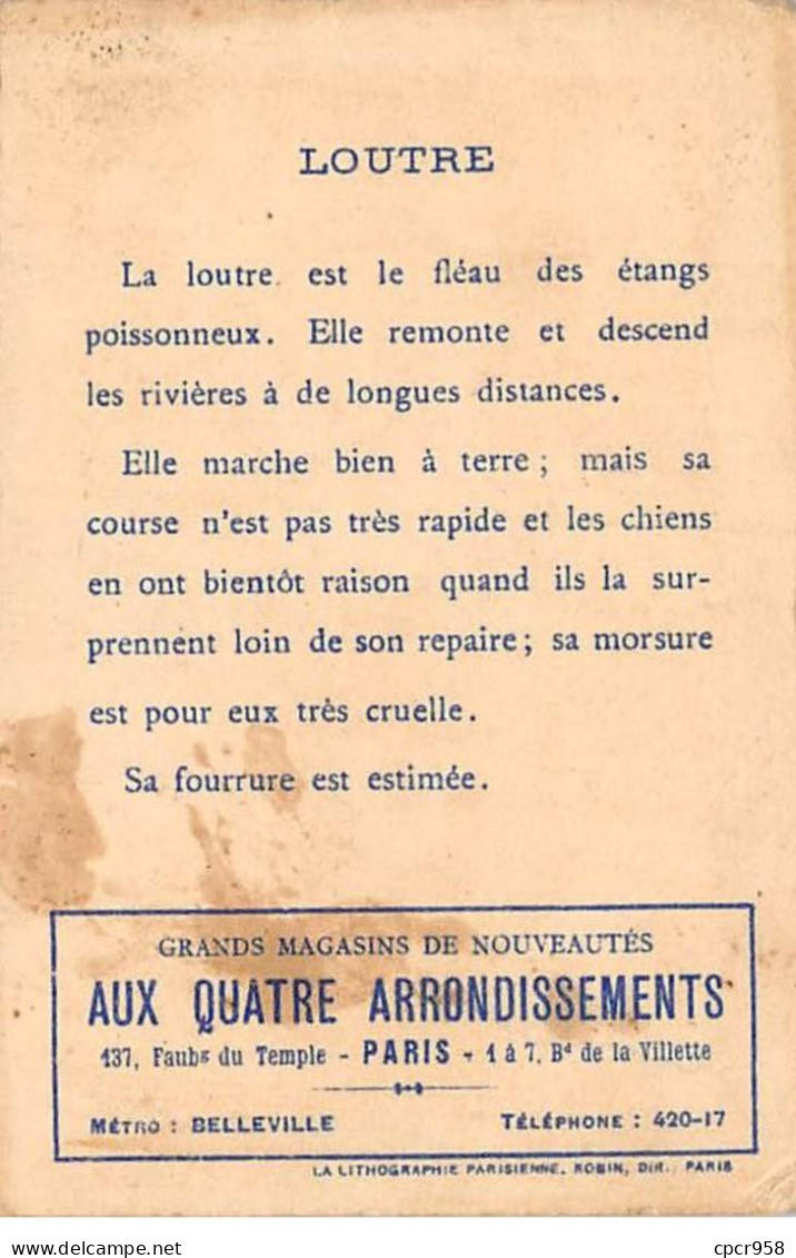 Chromos -COR11740 - Magasins Aux Quatre Arrondissements - Les Grandes Chasses - Loutres -  7x10cm Env. - Autres & Non Classés