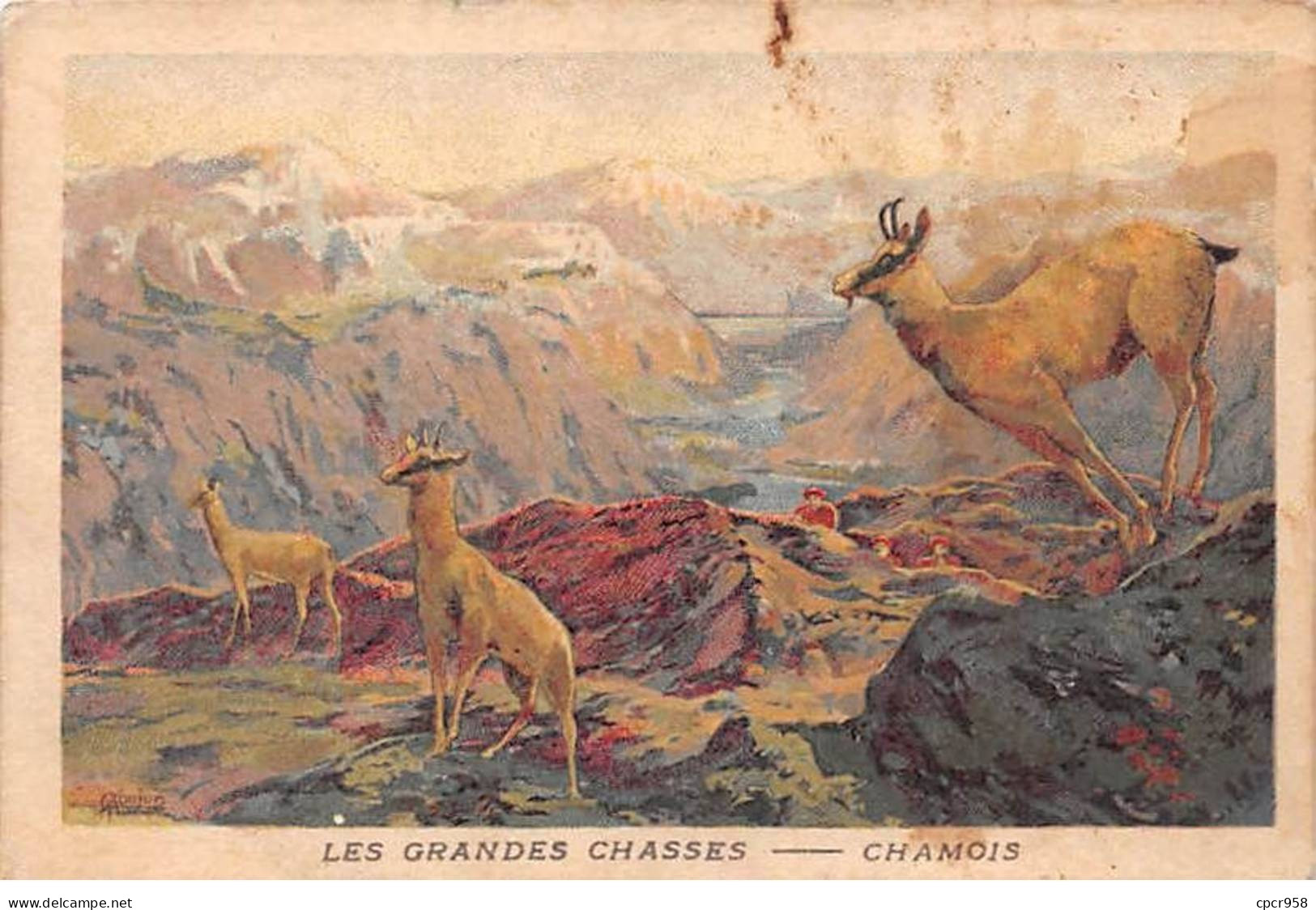 Chromos -COR11737 - Magasins Aux Quatre Arrondissements - Les Grandes Chasses - Chamois -  7x10cm Env. - Other & Unclassified