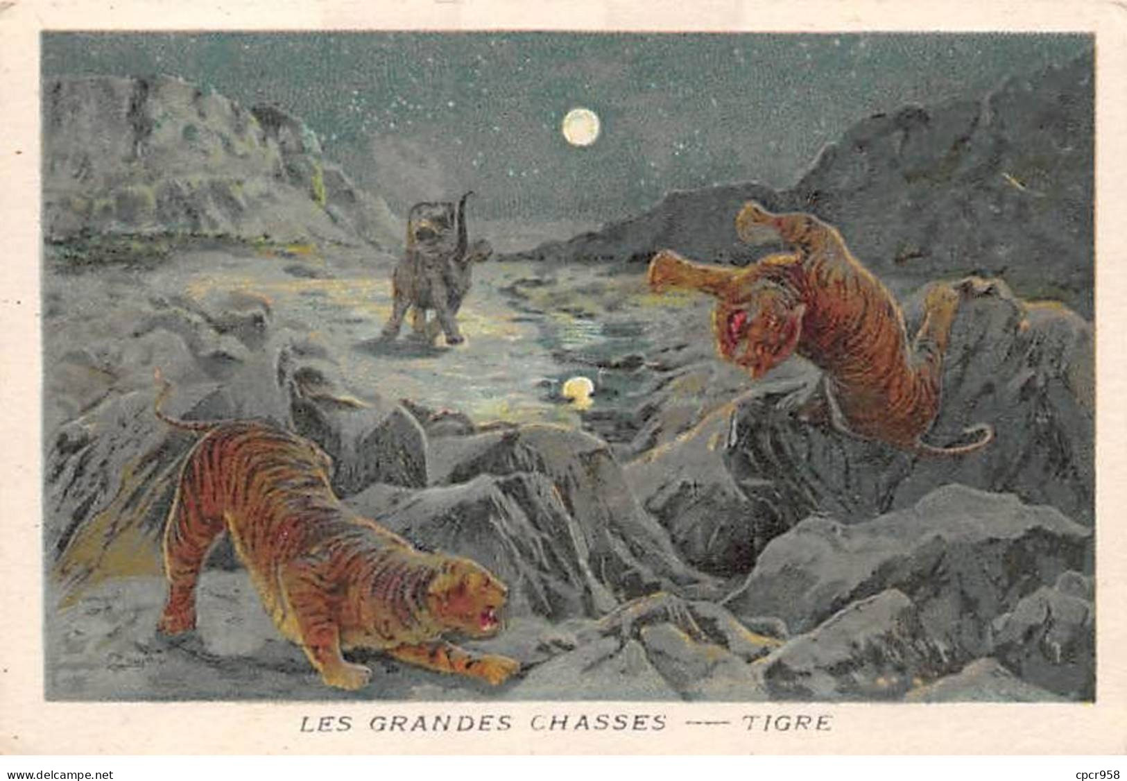 Chromos -COR11735 -  Les Grandes Chasses - Tigres -  7x10cm Env. - Other & Unclassified