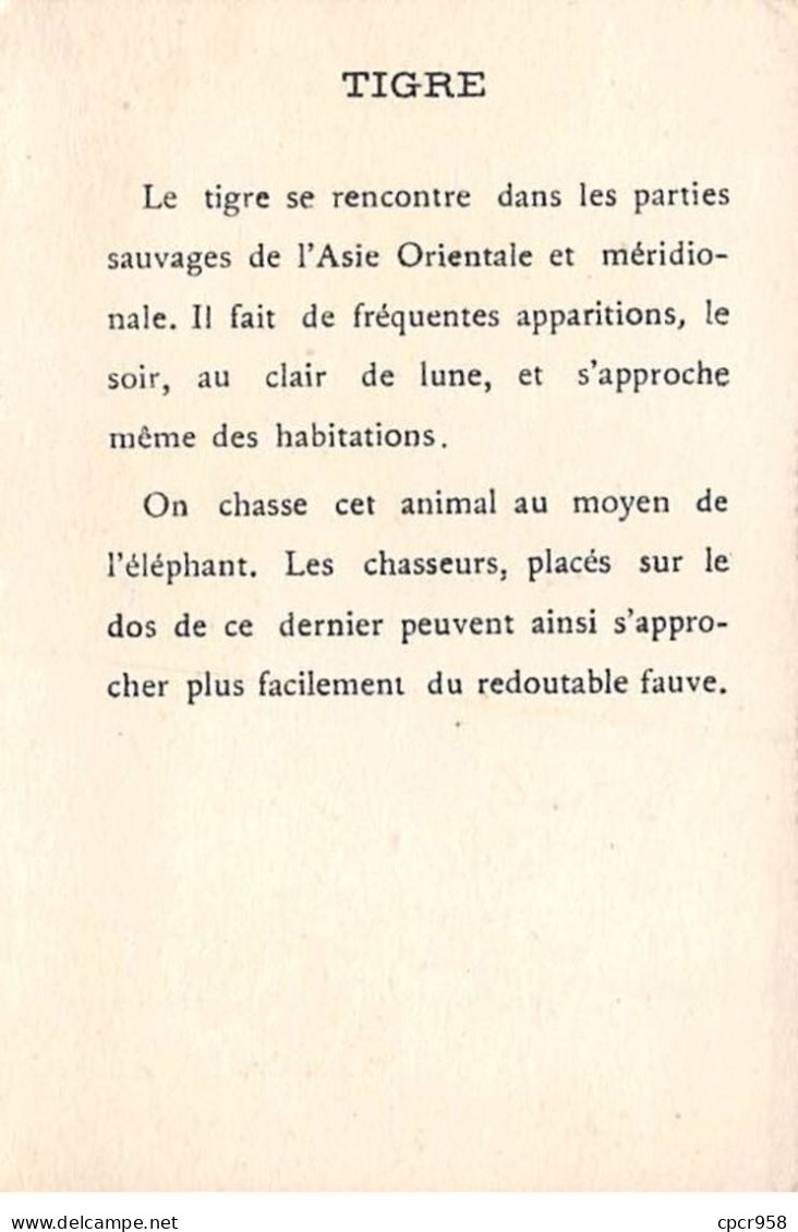 Chromos -COR11735 -  Les Grandes Chasses - Tigres -  7x10cm Env. - Autres & Non Classés