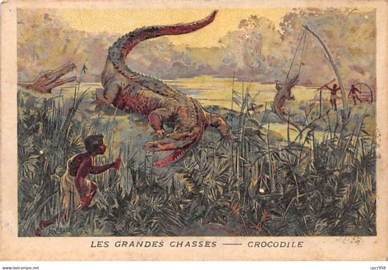 Chromos -COR11739 - Magasins Aux Quatre Arrondissements - Les Grandes Chasses - Crocodiles -  7x10cm Env. - Other & Unclassified