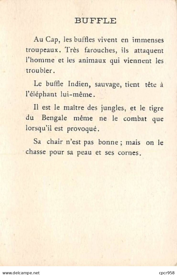 Chromos -COR11733 -  Les Grandes Chasses - Buffles -  7x10cm Env. - Autres & Non Classés