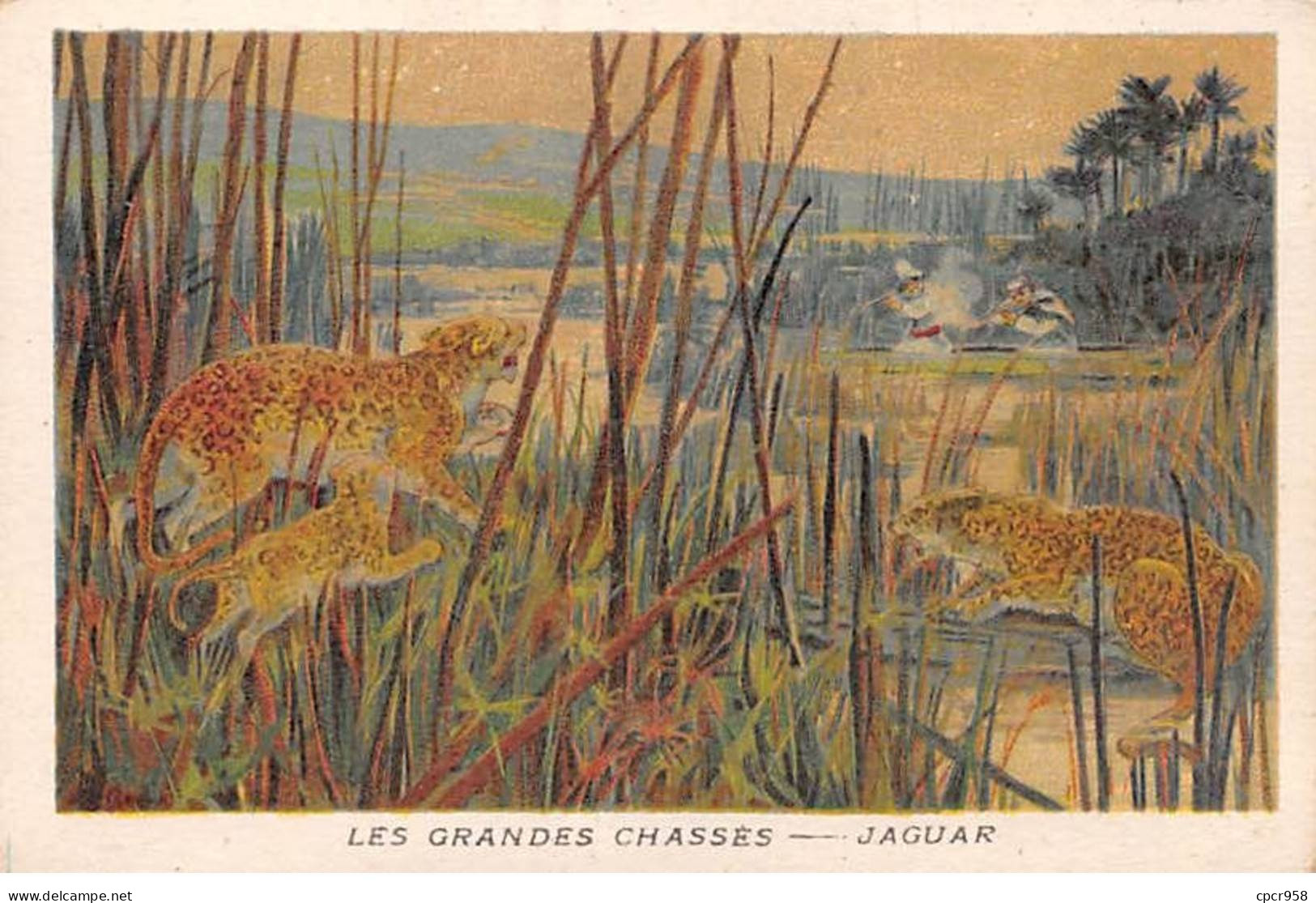 Chromos -COR11730 -  Les Grandes Chasses - Jaguar -  7x10cm Env. - Autres & Non Classés