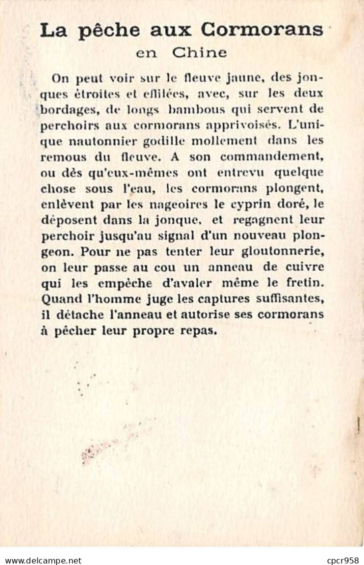 Chromos -COR11724 - La Pêche Aux Cormorans - Bateau - Chine -  7x10cm Env. - Sonstige & Ohne Zuordnung