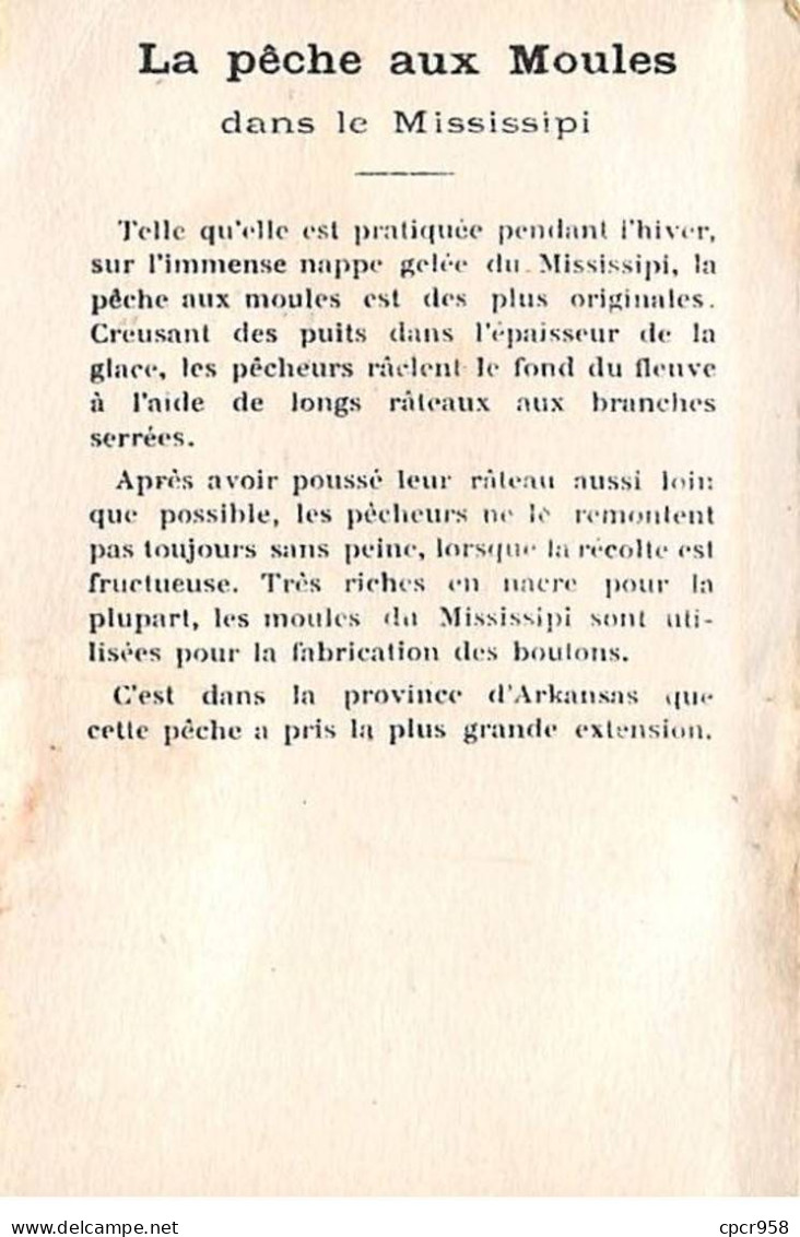 Chromos -COR11727 - La Pêche Aux Moules - Mississipi -  7x10cm Env. - Autres & Non Classés