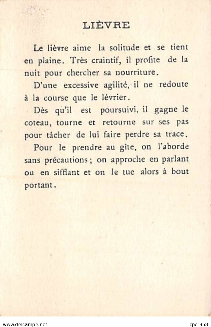 Chromos -COR11731 -  Les Grandes Chasses - Lièvre -  7x10cm Env. - Autres & Non Classés