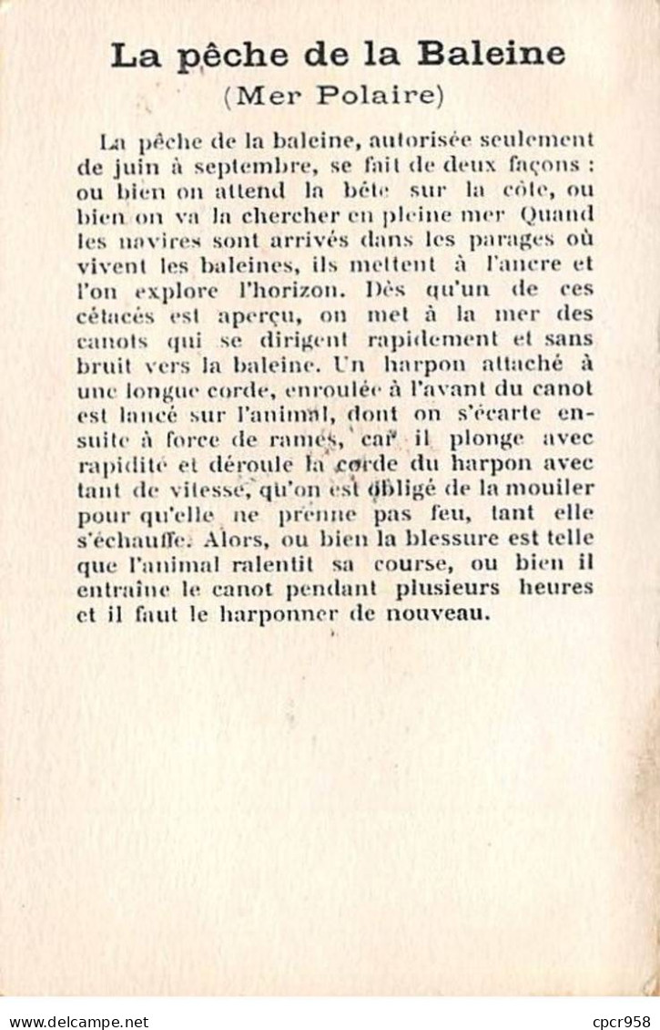 Chromos -COR11725 - La Pêche De La Baleine - Bateau - Mer Polaire -  7x10cm Env. - Sonstige & Ohne Zuordnung