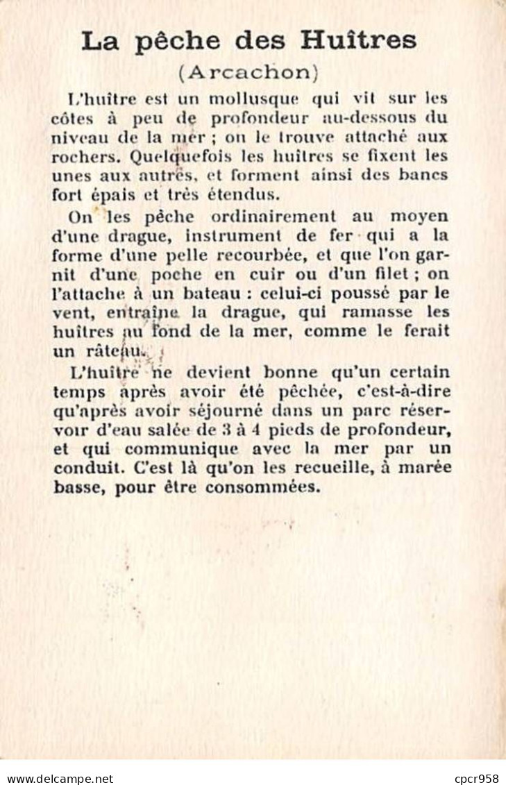 Chromos -COR11723 - La Récolte Des Huîtres - Arcachon -  7x10cm Env. - Sonstige & Ohne Zuordnung