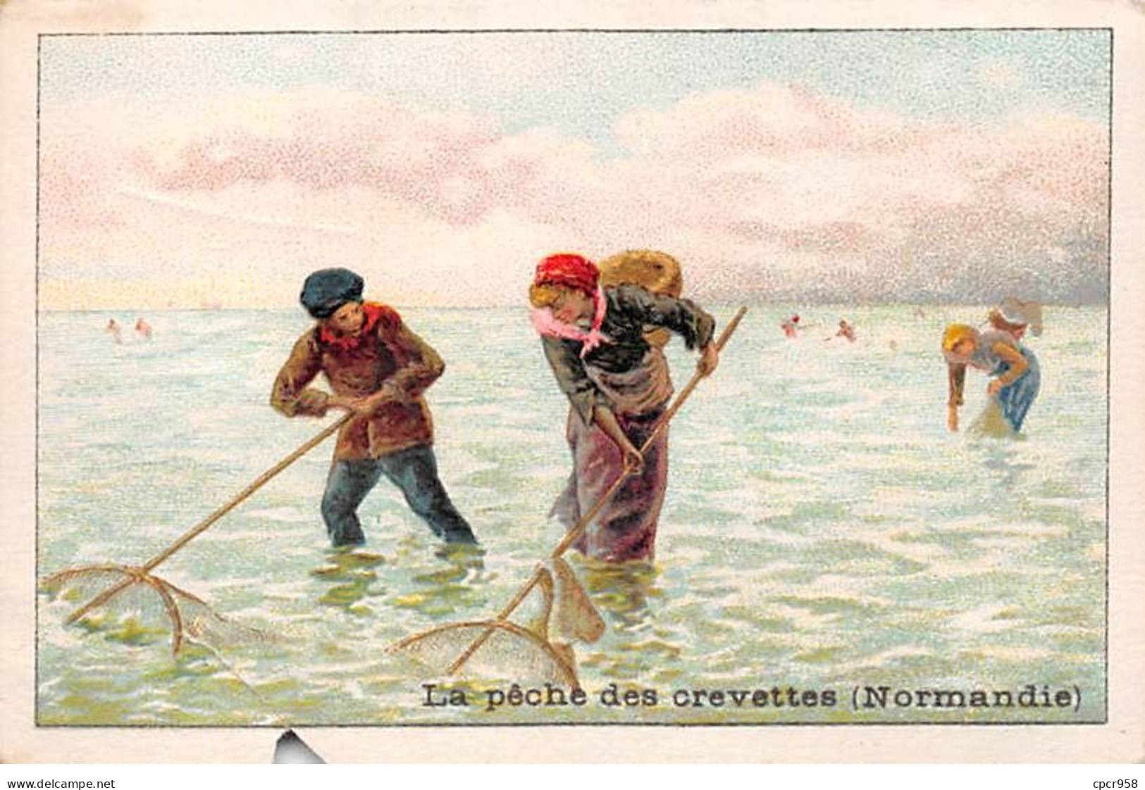 Chromos -COR11718 - La Pêche Des Crevettes - Normandie - En L'état  -  7x10cm Env. - Sonstige & Ohne Zuordnung