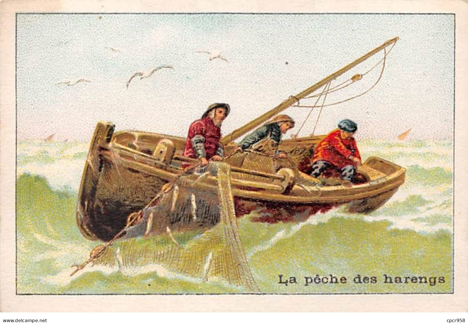 Chromos -COR11716 - La Pêche Des Harengs - Bateau  -  7x10cm Env. - Autres & Non Classés