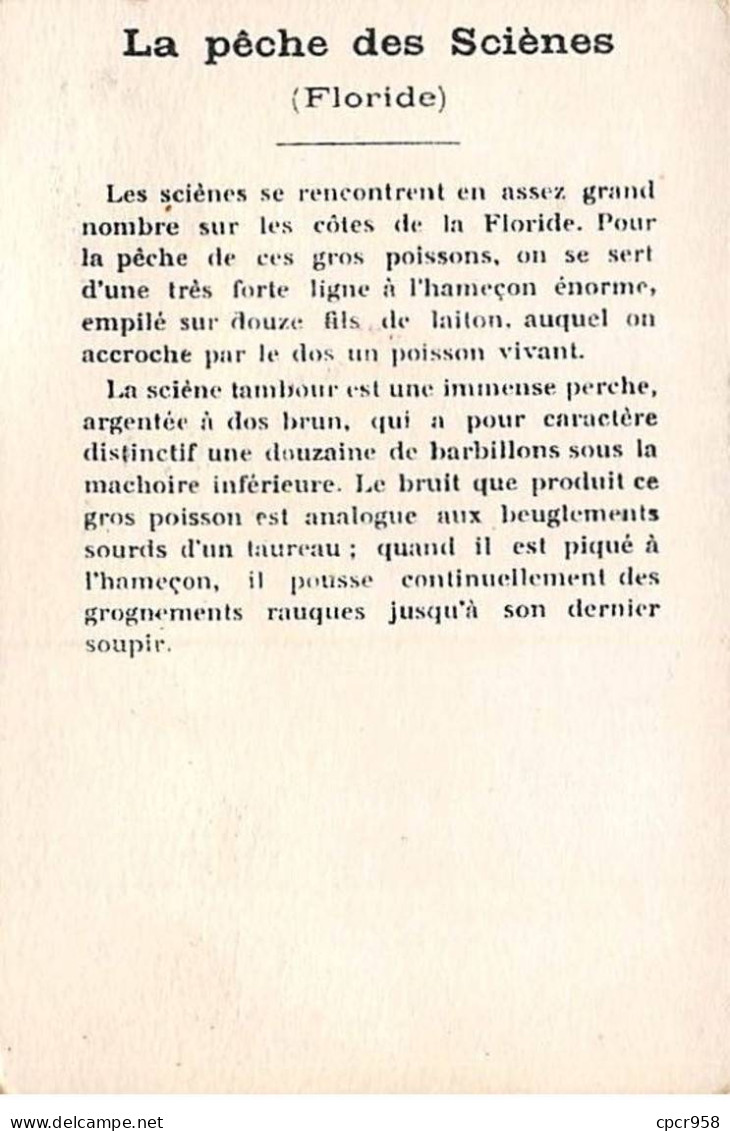 Chromos -COR11712 - La Pêche Des Sciènes - Floride - Bateau -  7x10cm Env. - Sonstige & Ohne Zuordnung