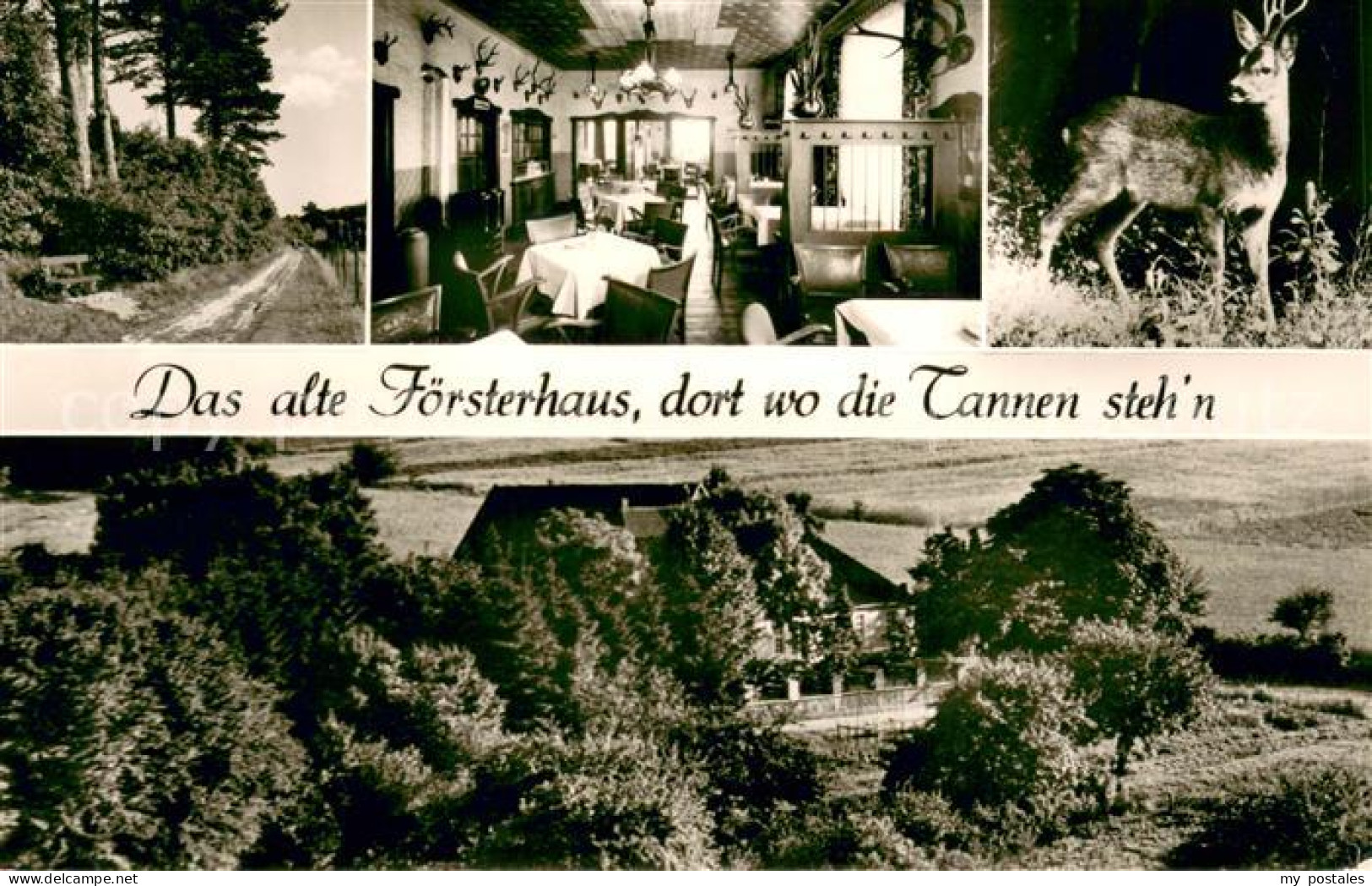 73651547 Oberbecksen Gasthaus Alter Foerster Gastraum Reh Panorama Oberbecksen - Bad Oeynhausen