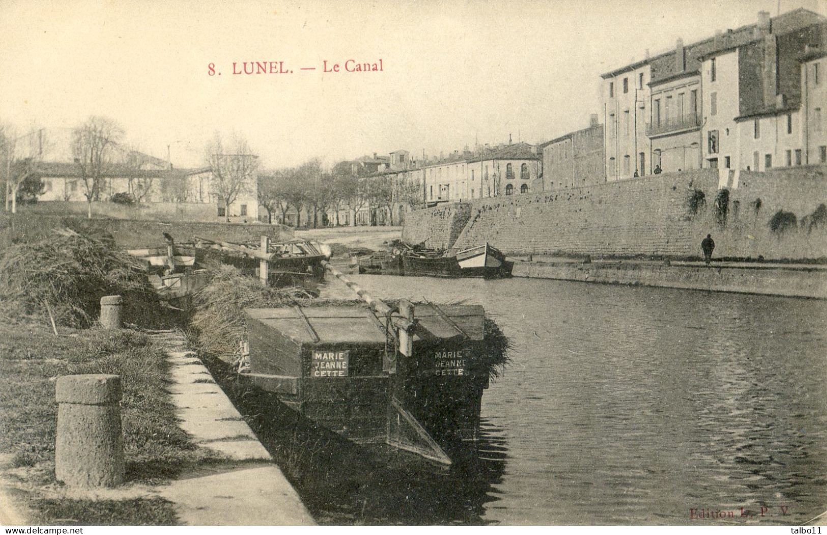 34 - Lunel - Le Canal - Péniche Marie Jeanne De Cette  - Chargement De Roseaux?? - Lunel