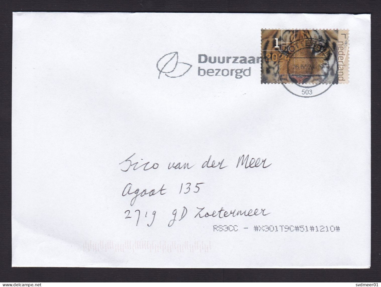 Netherlands: Cover, 2024, 1 Stamp, Tiger, Endangered Wild Animal (traces Of Use) - Covers & Documents
