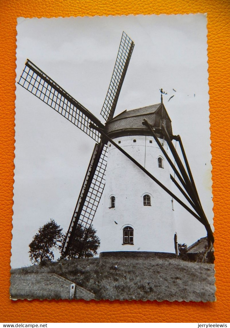 HOEKE - KNOKKE  -  Molen - Knokke