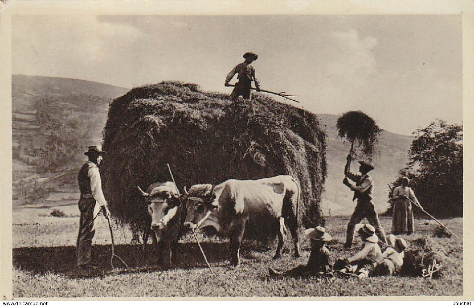 ZY 95- TABLEAUX  PYRENEENS - SCENE DE FENAISON - ATTELAGE DE BOEUFS , CHARRETTE DE FOIN - PAYSANS  - Cultivation