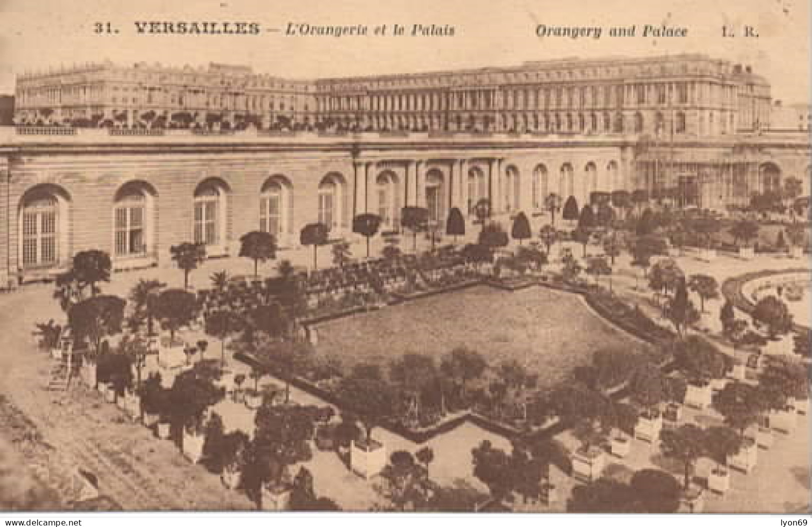 ORANGERIE OLEAU BLTERATUON BANLIEU - Versailles (Château)