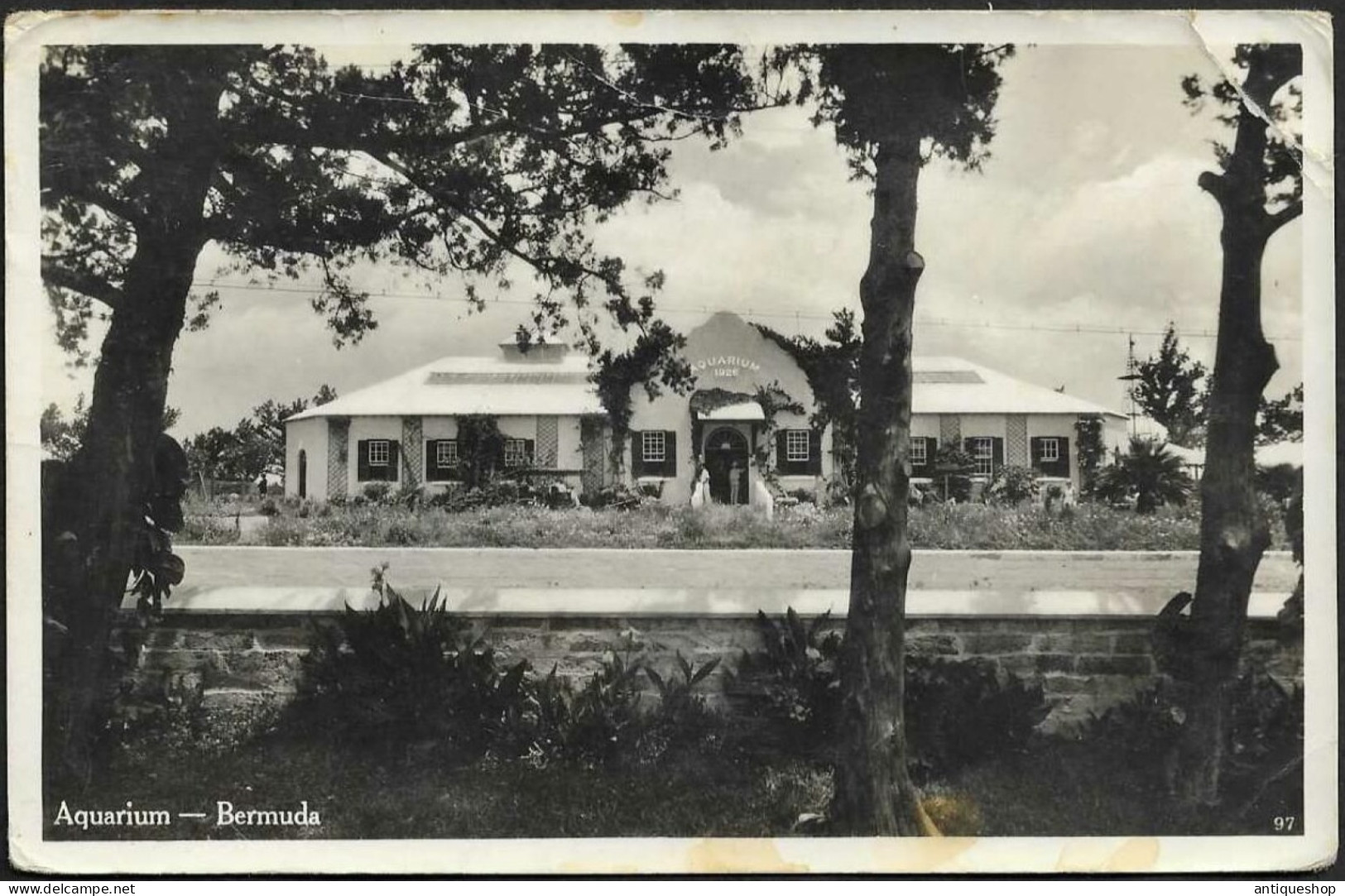 Bermuda-----old Postcard - Bermudes