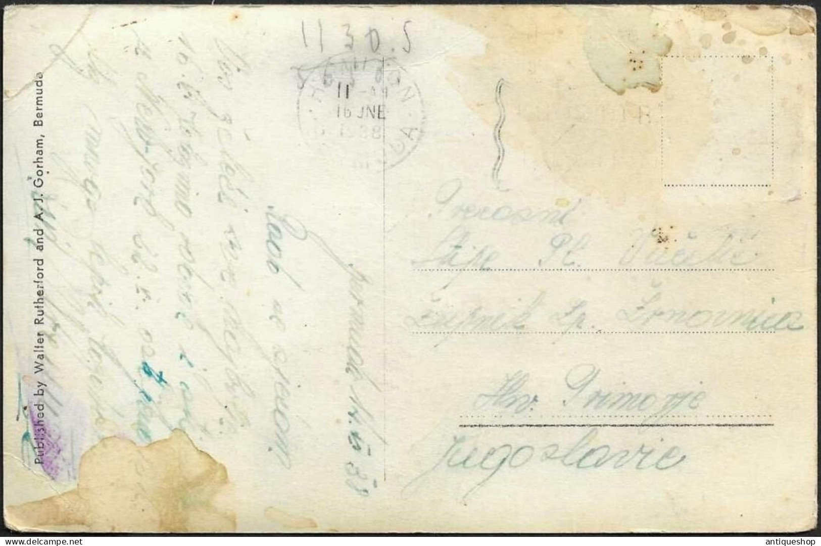 Bermuda-----old Postcard - Bermuda