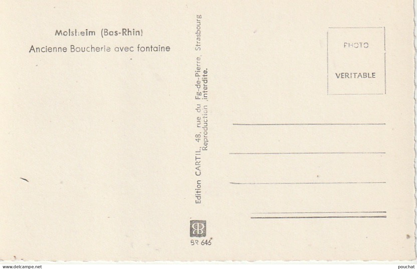 ZY 98-(67) MOLSHEIM - ANCIENNE BOUCHERIE AVEC FONTAINE - COMMERCES - 2 SCANS - Molsheim
