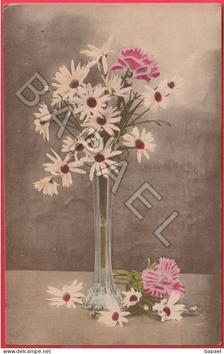 Marguerites Dans Un Petit Vase - Other & Unclassified