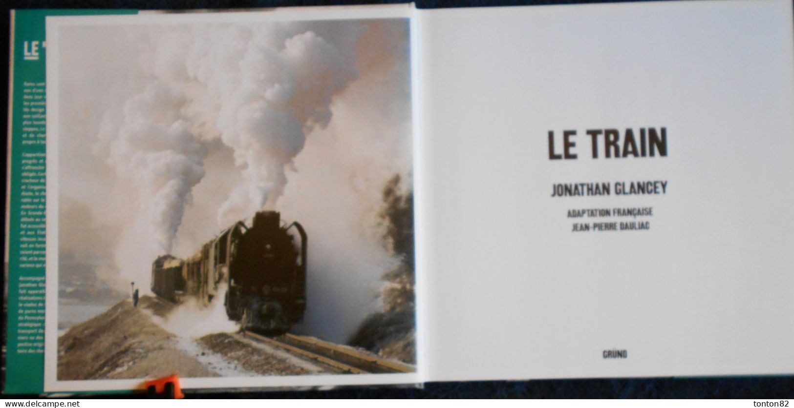 Jonathan Glancey - LE TRAIN - Éditions GRÜND - ( 2004  ) . - Fischen + Jagen