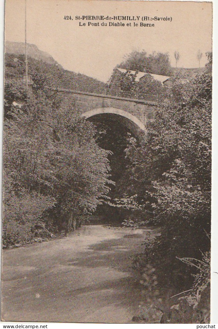 ZY 110-(74) ST PIERRE DE RUMILLY - LE PONT DU DIABLE ET LE BORNE - 2 SCANS - Otros & Sin Clasificación