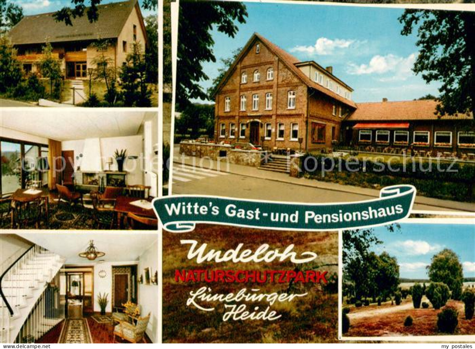 73651169 Undeloh Witte's Gast- Und Pensionshaus Naturschutzpark Lueneburger Heid - Otros & Sin Clasificación