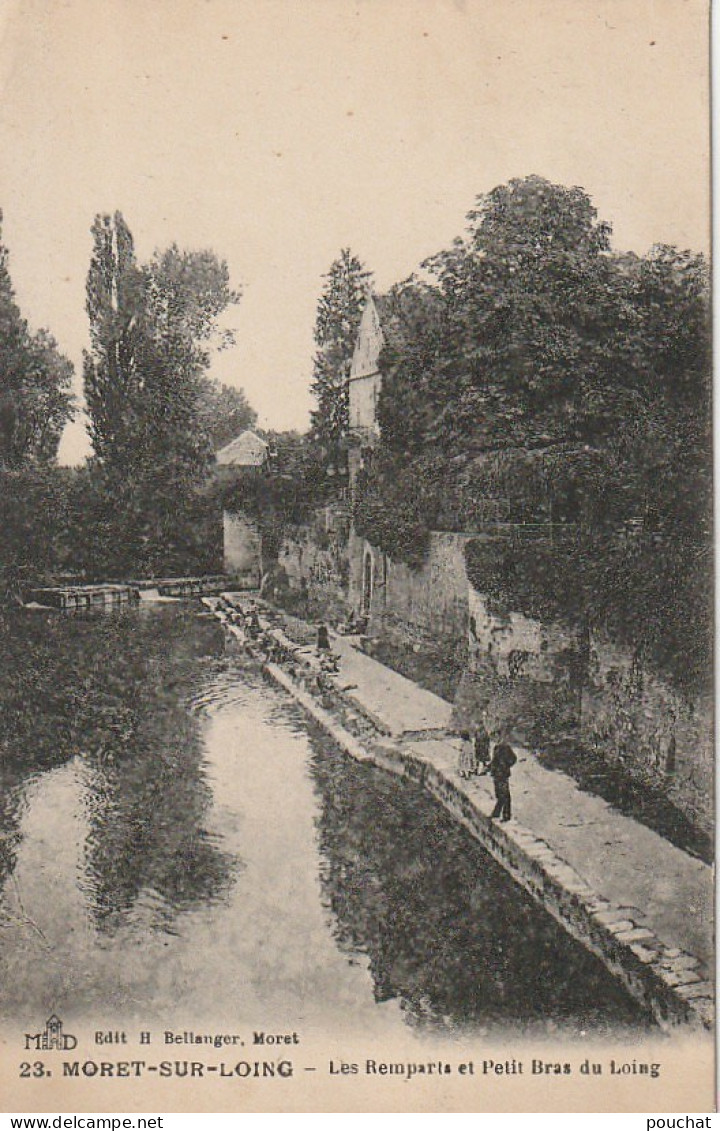 ZY 115-(77) MORET SUR LOING - LES REMPARTS ET PETIT BRAS DU LOING - 2 SCANS - Moret Sur Loing