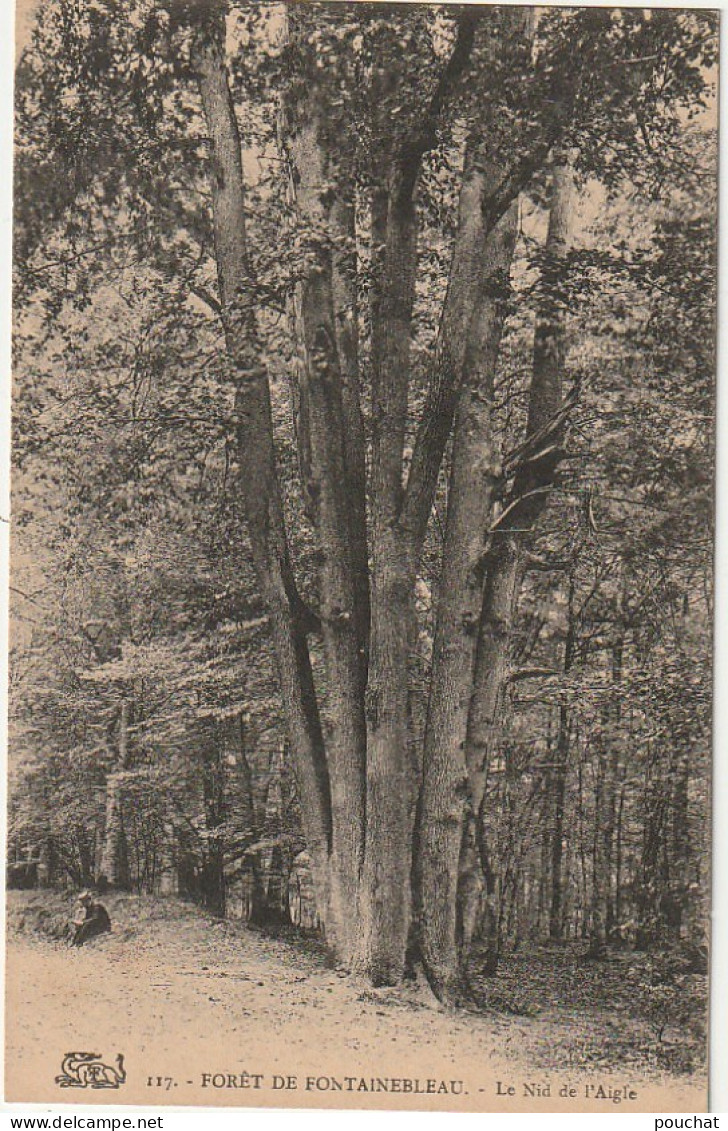 ZY 115-(77) FORET DE FONTAINEBLEAU - LE NID DE L' AIGLE - CHENE EN CEPEE - 2 SCANS - Trees