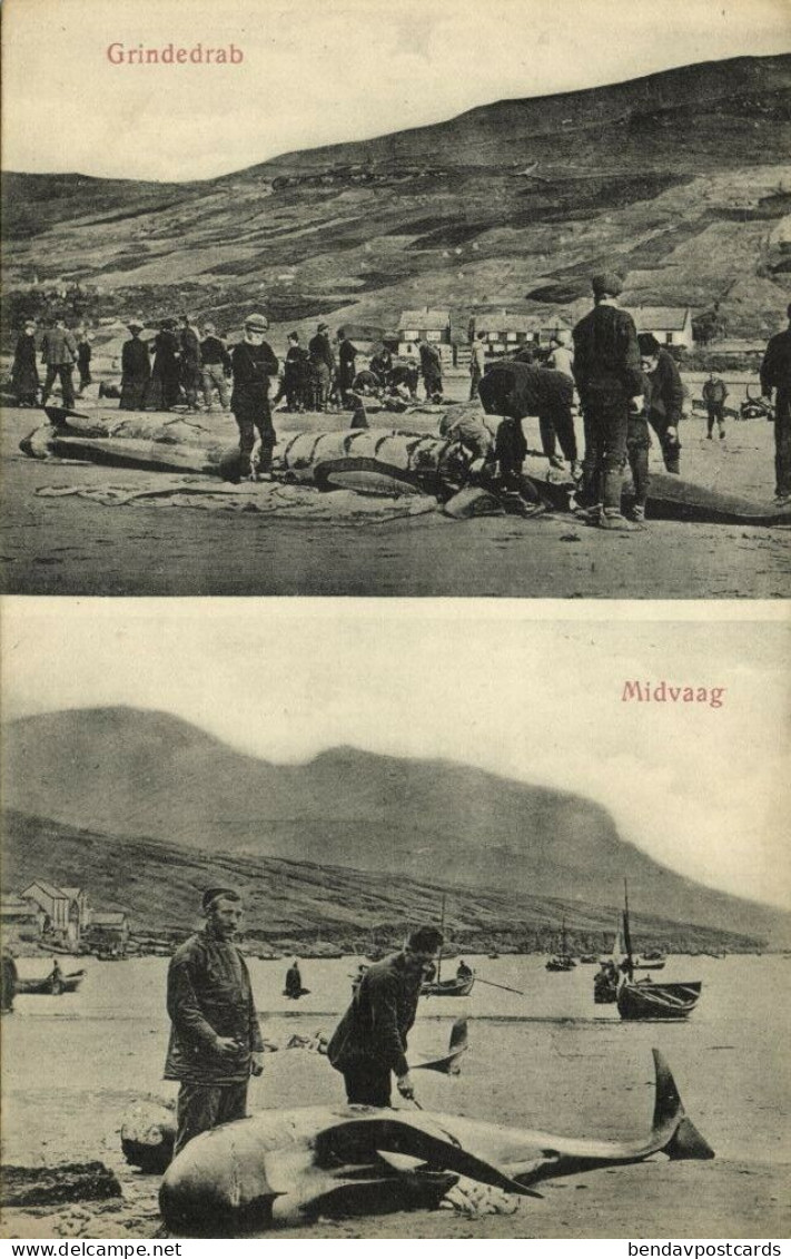 Denmark, Faroe Islands, MIDVAAG, Grindedrab Whaling (1910s) Postcard - Färöer