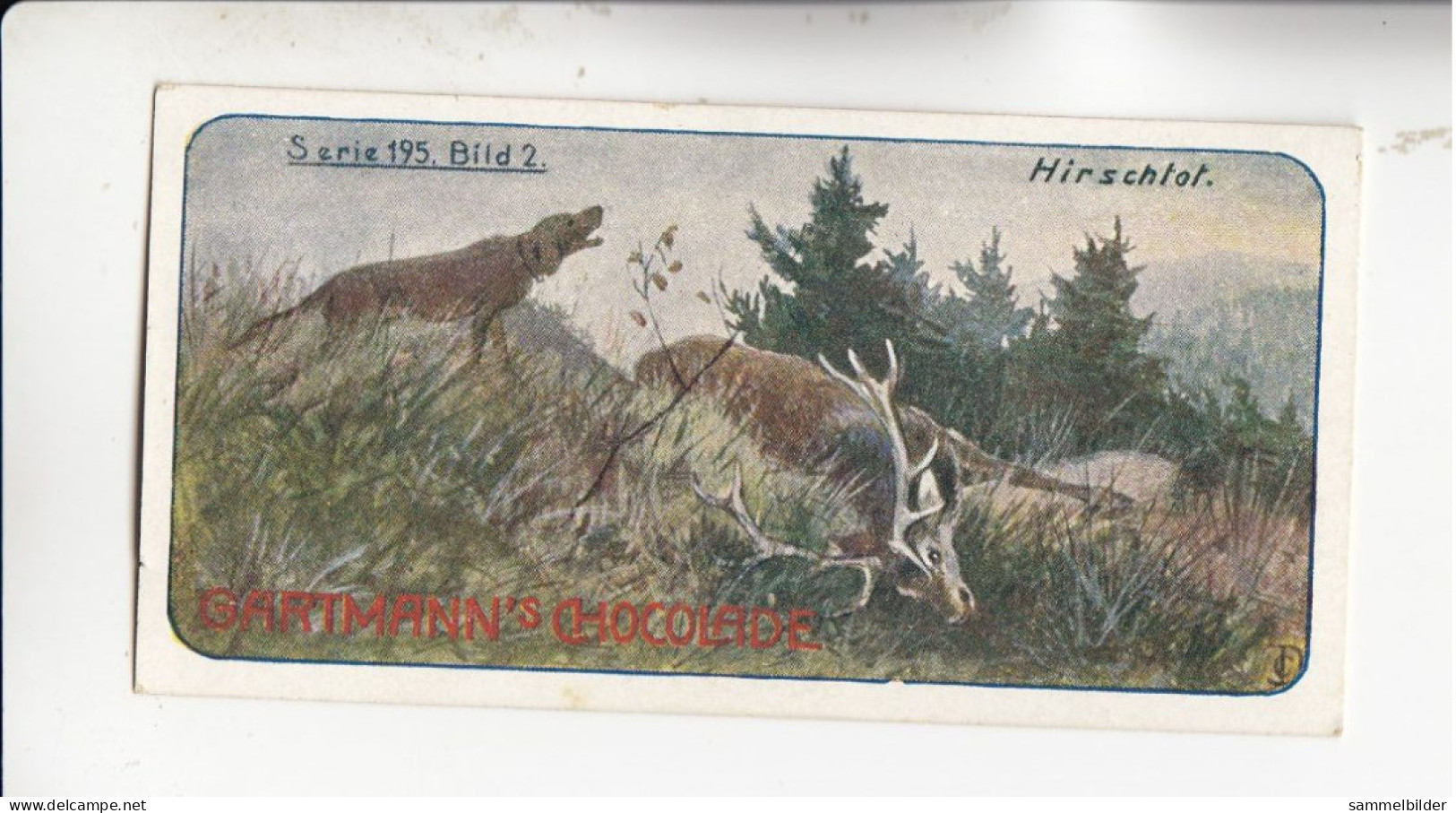 Gartmann Jagdbilder Hirsch Tot !  Serie 195 #2 Von 1907 - Other & Unclassified