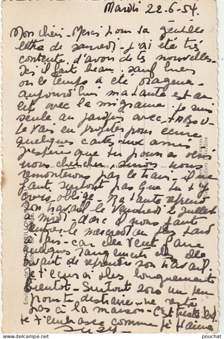 ZY 124-(86) ENVIRONS DE MONTMORILLON - LES ROCHES DE SAULGE - 2 SCANS - Otros & Sin Clasificación