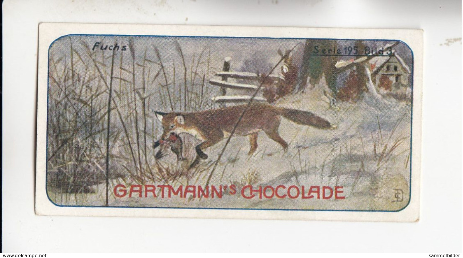 Gartmann Jagdbilder Der Fuchs  Serie 195 #3 Von 1907 - Sonstige & Ohne Zuordnung
