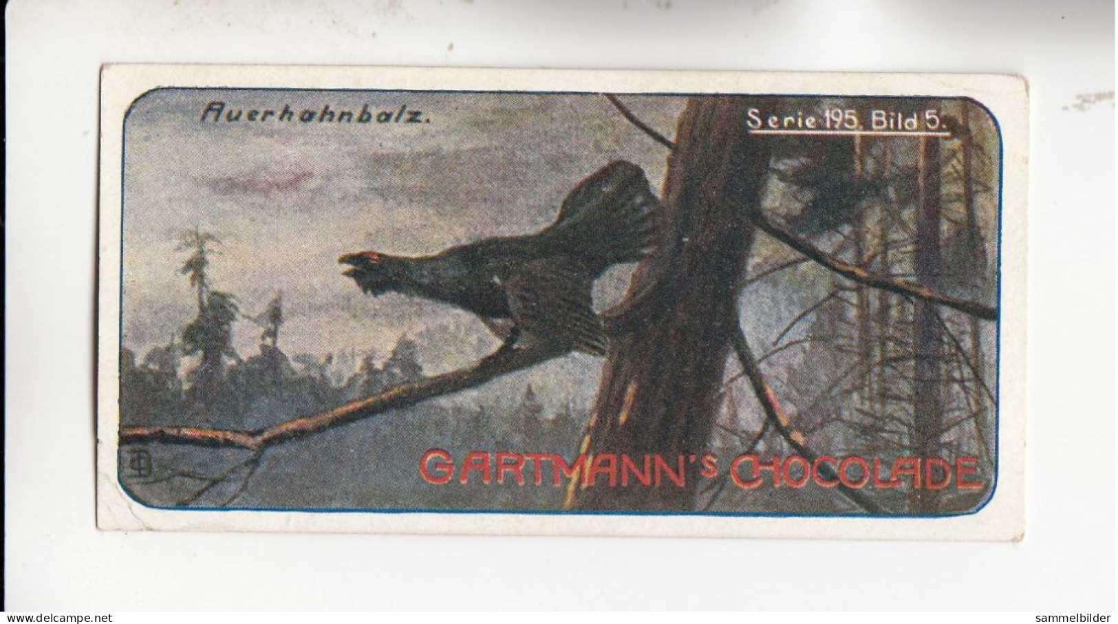 Gartmann Jagdbilder Auerhahnbalz   Serie 195 #5 Von 1907 - Otros & Sin Clasificación