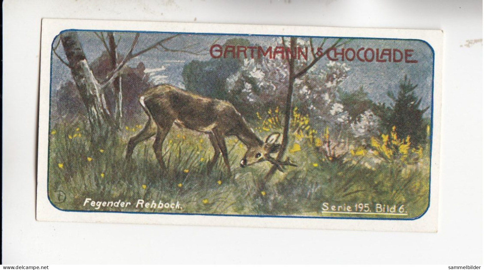 Gartmann Jagdbilder Fegender Rehbock   Serie 195 #6 Von 1907 - Sonstige & Ohne Zuordnung