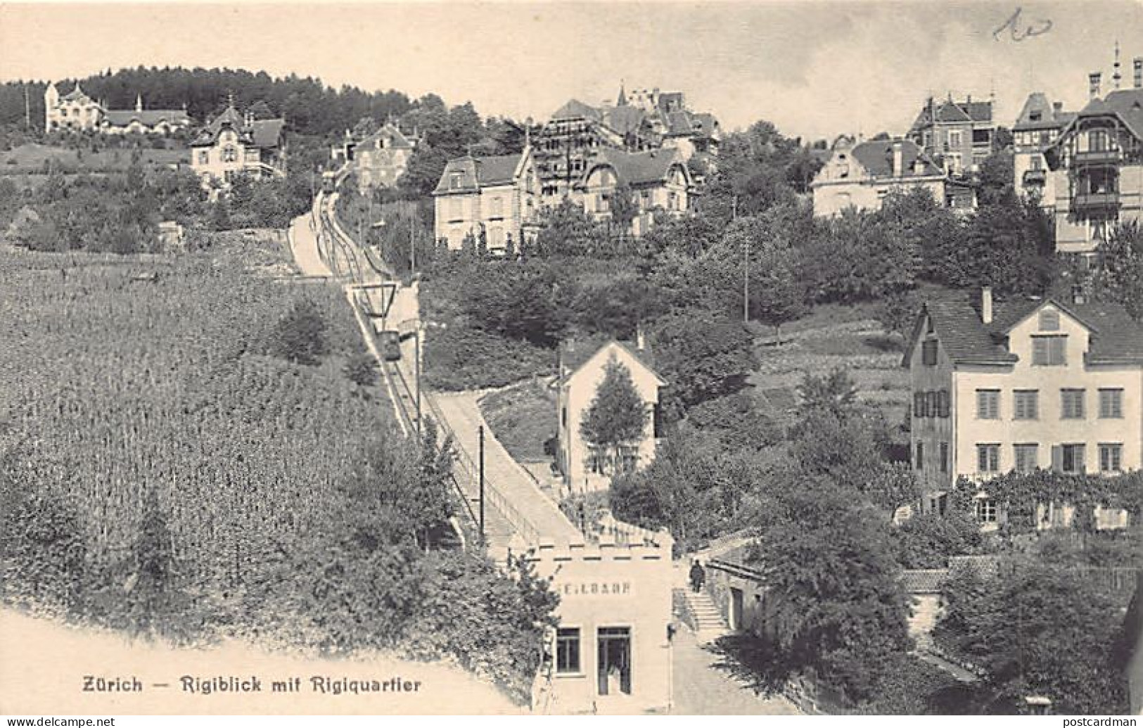 Schweiz - Zürich - Rigiblick Mit Rigiquartier - Verlag Carl Künzli-Tobler  - Zürich