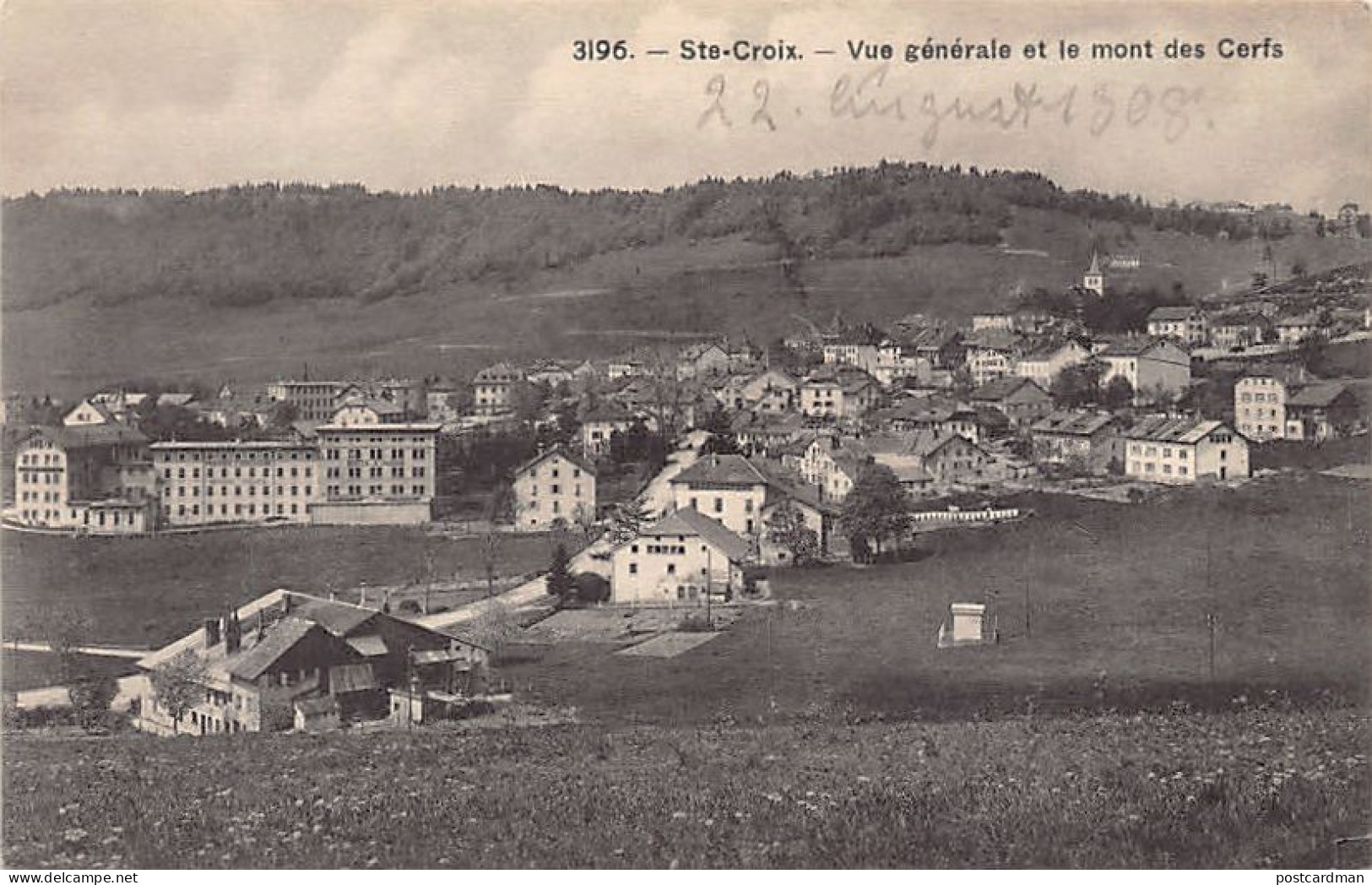 Suisse - Sainte-Croix (VD) Vue Générale - Mont Des Cerfs - Ed. Phototypie Co 3196 - Sainte-Croix 