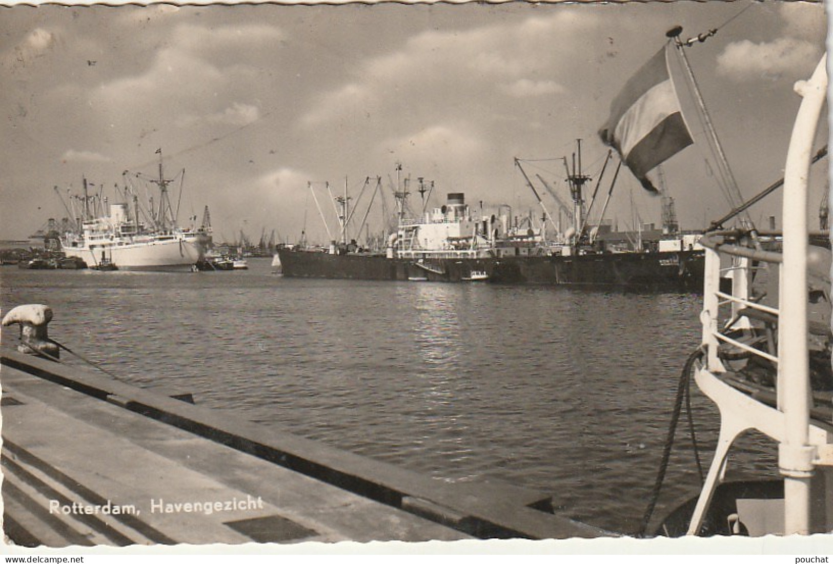 ZY 138- ROTTERDAM ( NEDERLAND ) - HAVENGEZICHT - 2 SCANS - Rotterdam