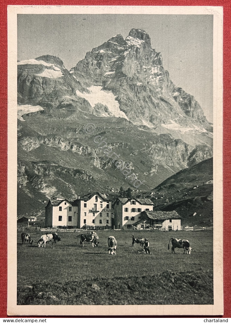 Cartolina - Monte Cervino E Hotel Jumeaux - 1950 Ca. - Other & Unclassified